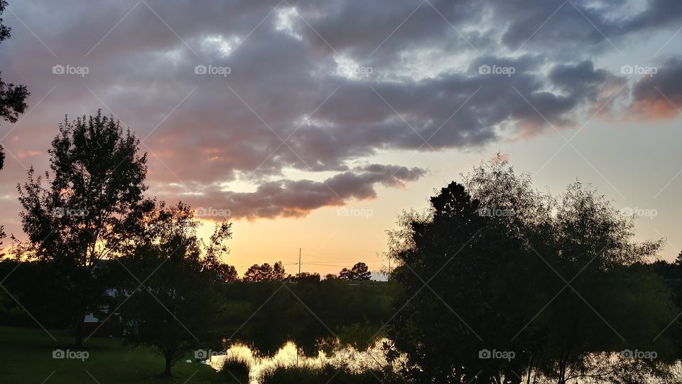 Landscape, Nature, Sunset, Tree, Dawn