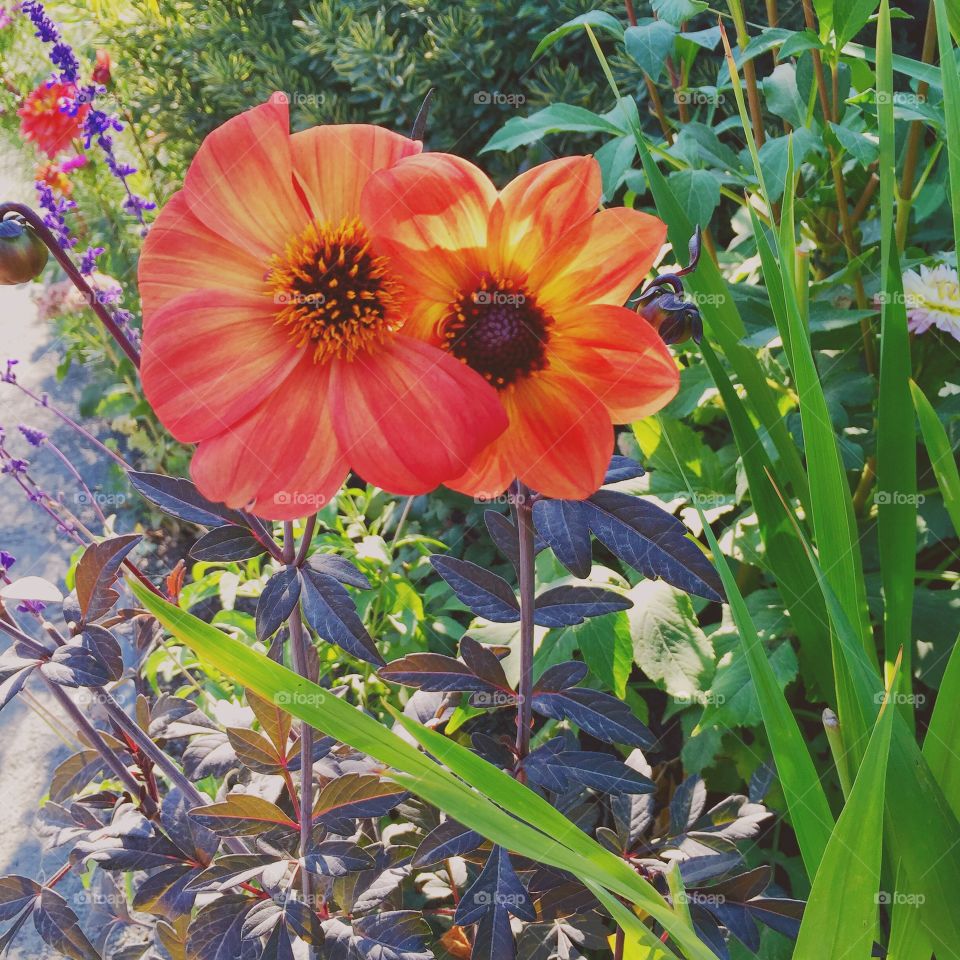 let’s root for each other and watch each other grow