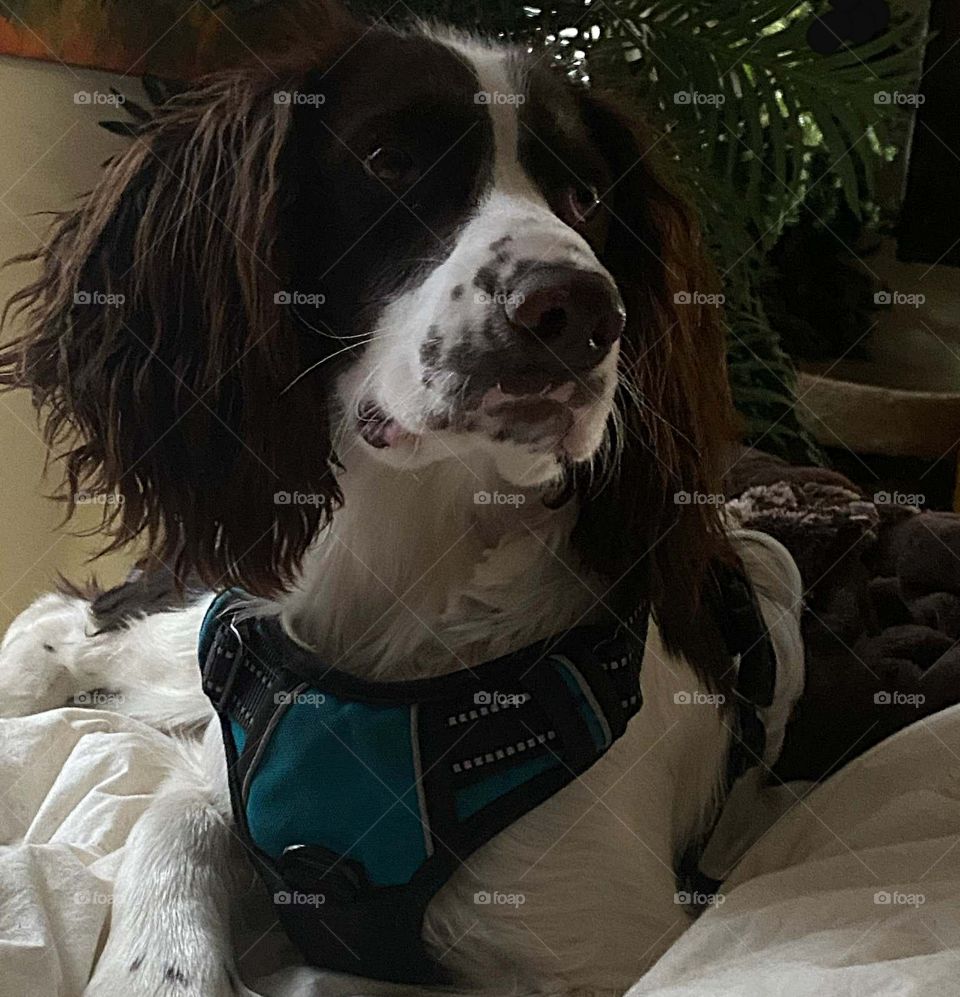 Look who's 8 months old today