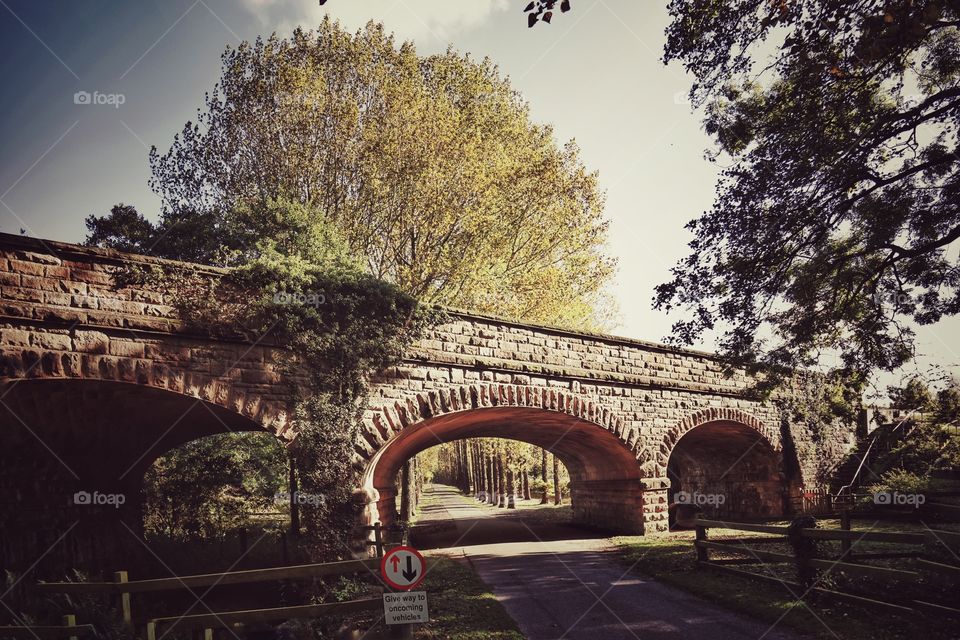 Bridge. Country land 