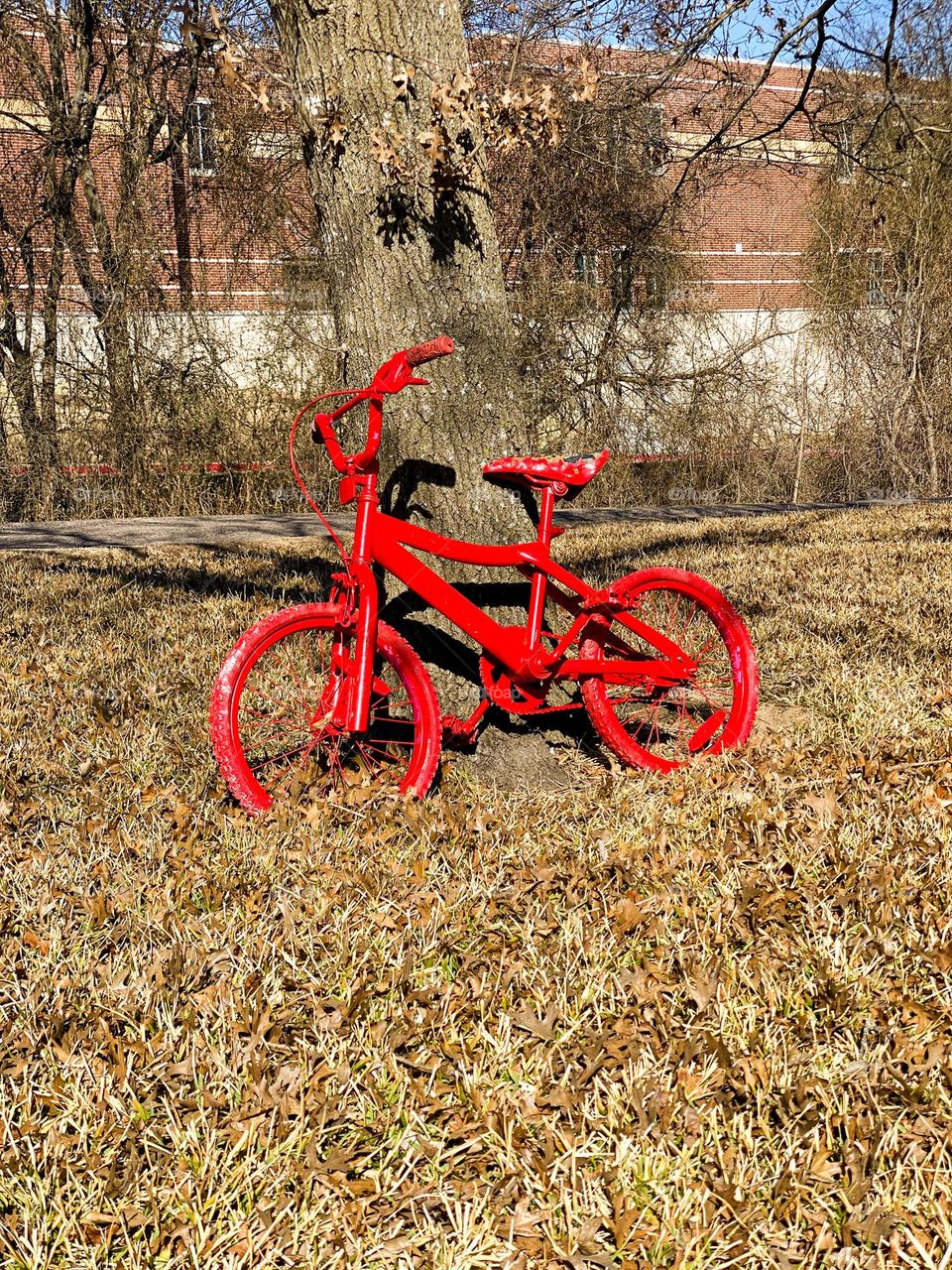 My red bicycle 