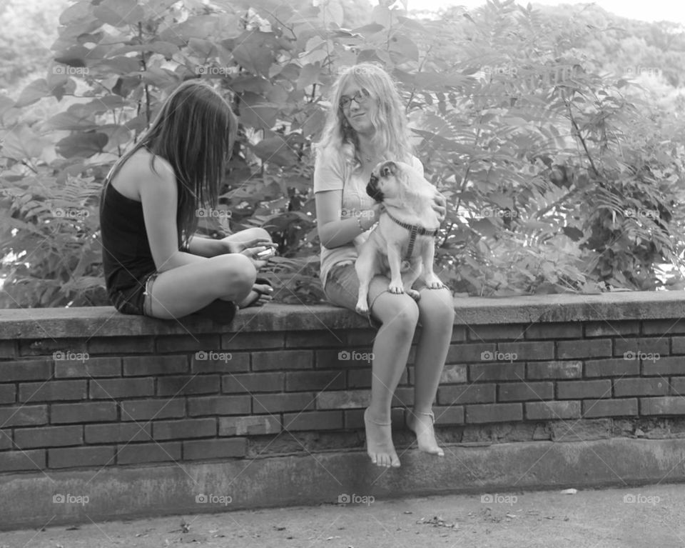 grettle, alyssa, frankie