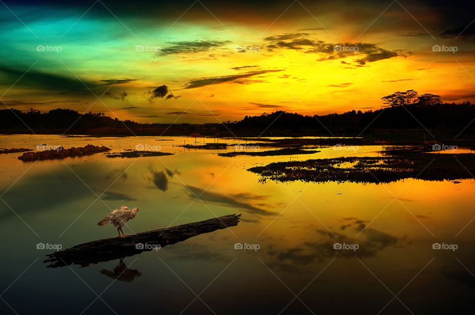 sunrise at mahakam river