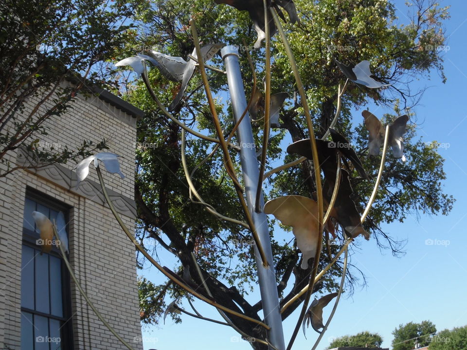 bird charmer. This is another picture of some artwork that is on display in front of the local library in Graham Texas. 👣 🚶 🏃 🔥 💨