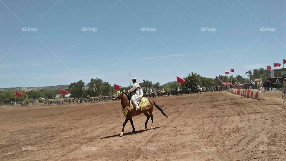  A knight riding a horse in a racing dress