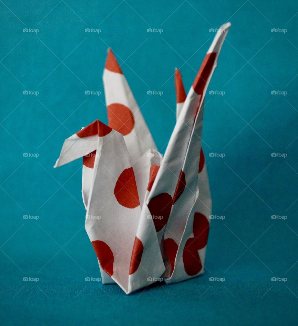 Origami Art of Paper Folding 