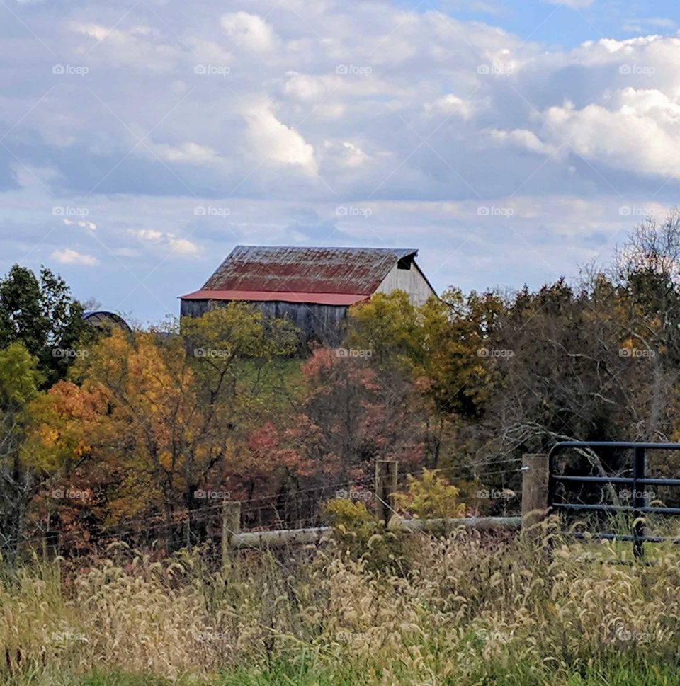 barn