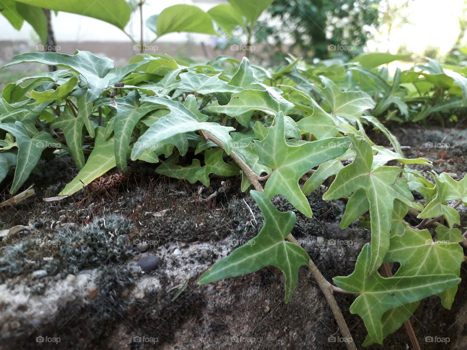 one nice photo that I took today🥰 I hope you like it🌻💫