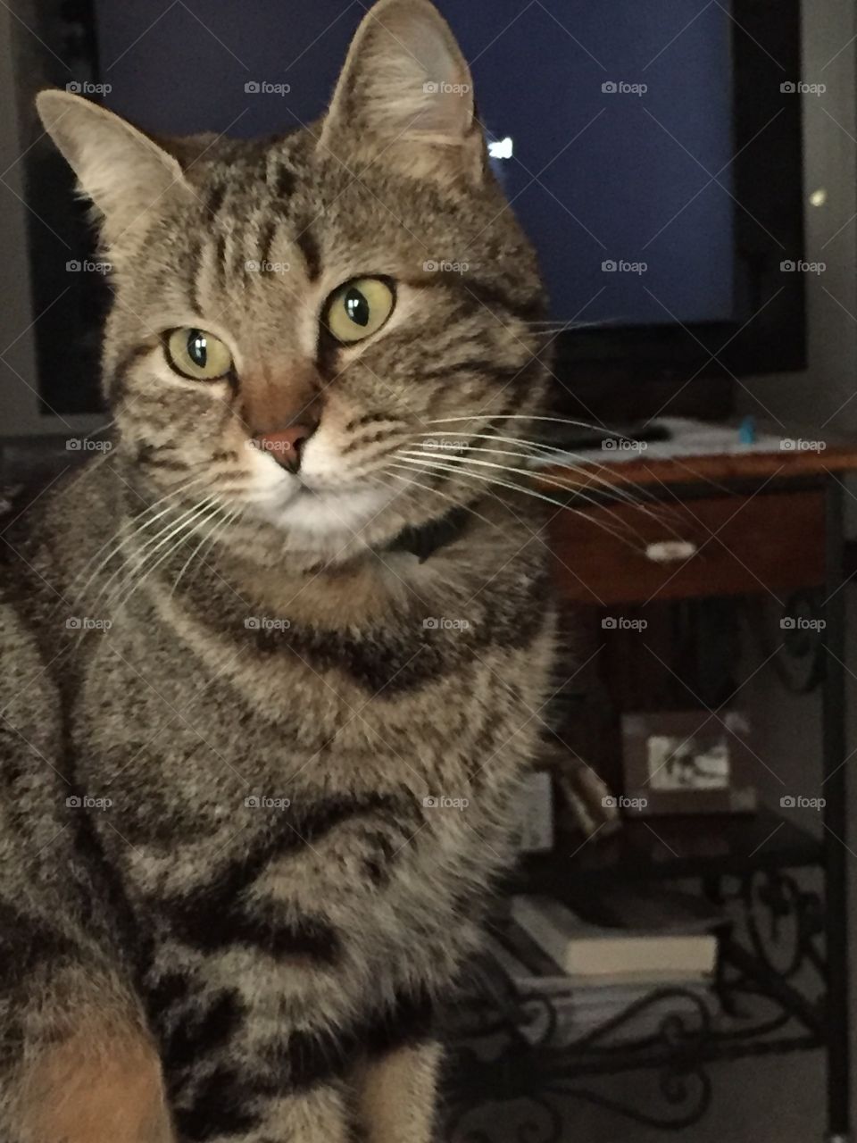 what the hell you doing?