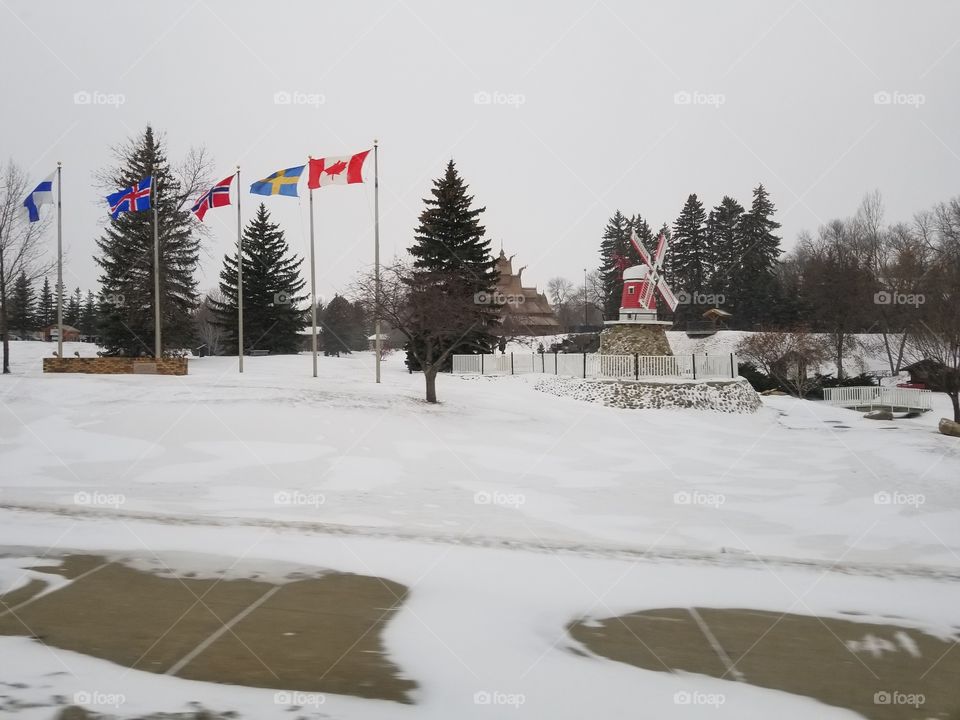 Snow, Winter, Cold, Ice, Frozen