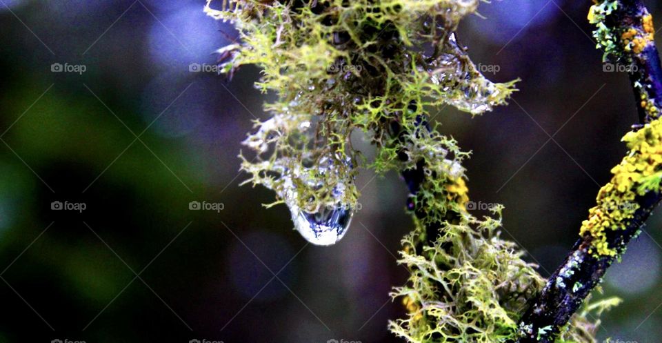 Have a heart as pure as a drop of water