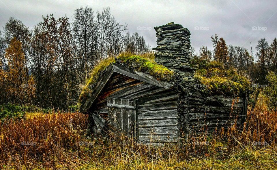 Old log cabin