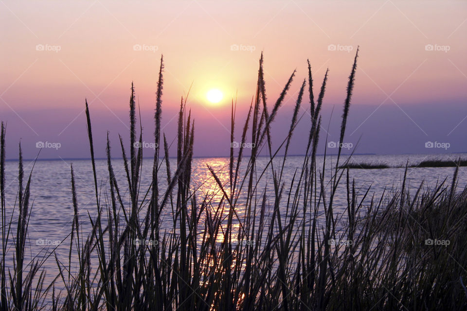 nature summer sunset water by probie15