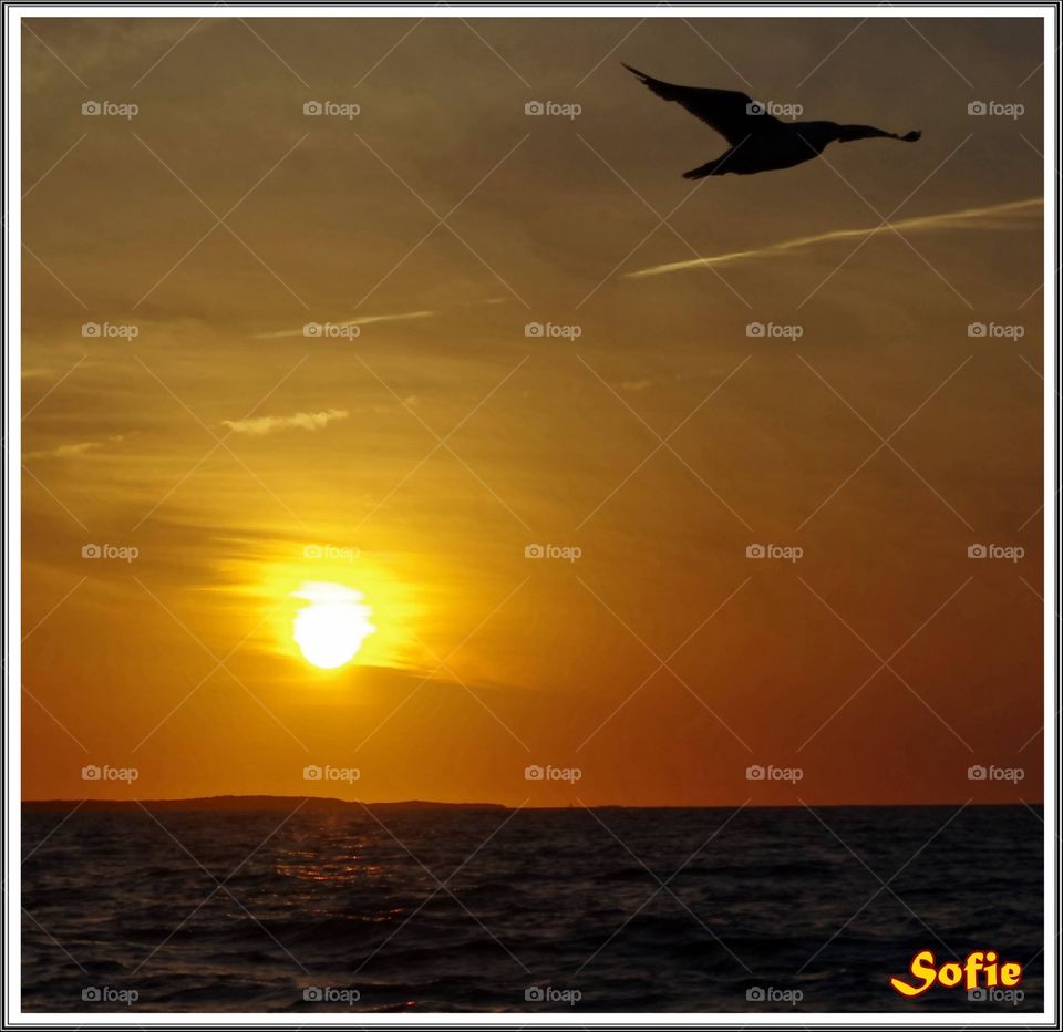 Îles-de-la-Madeleine ~ Magdalen Islands - 01