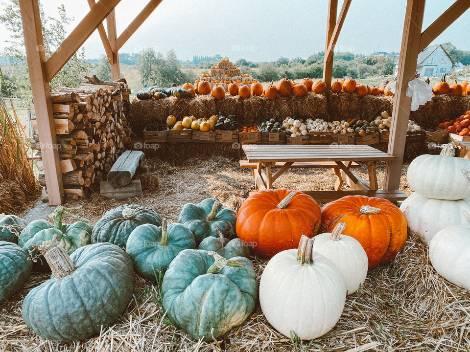 Pumpkins