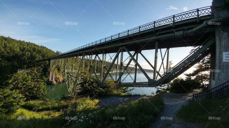 Bridge beauty