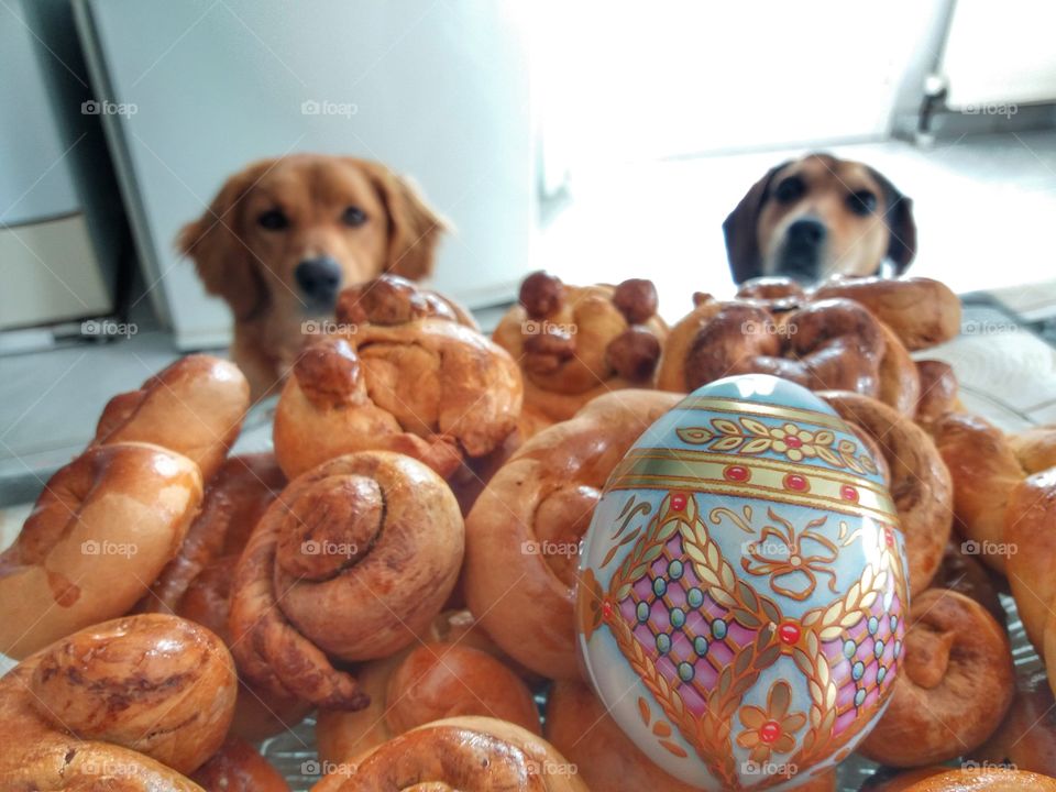 Can you give me a cookie?