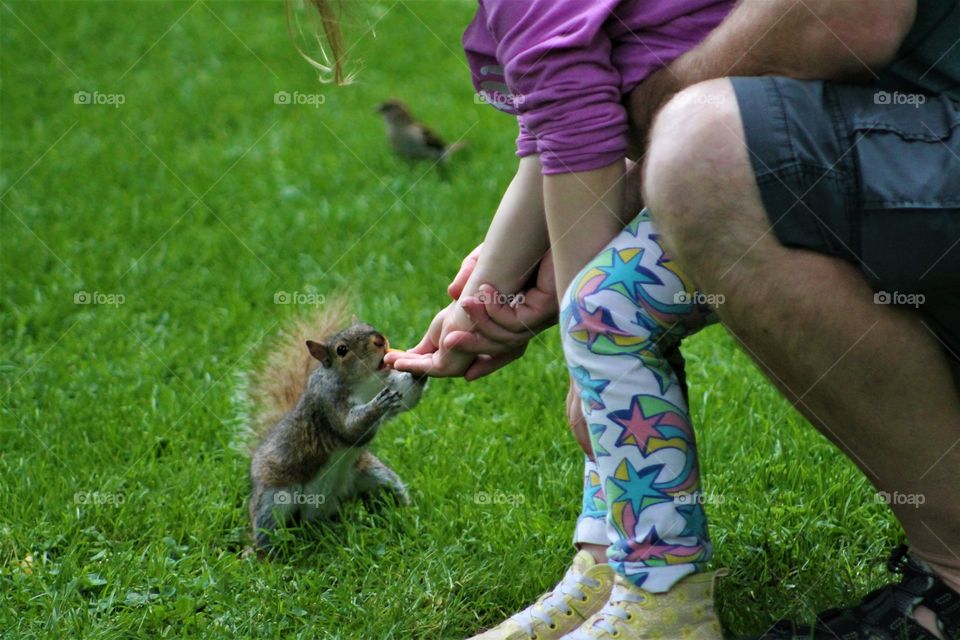 feeding a squirrel