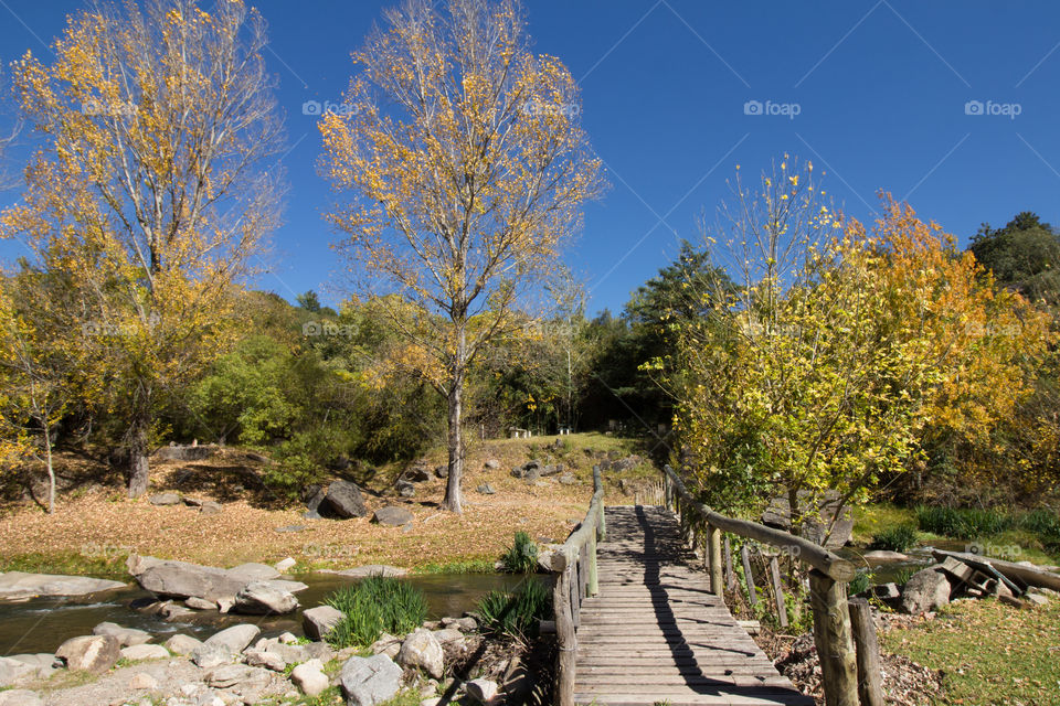 wood bridge under river in autumn