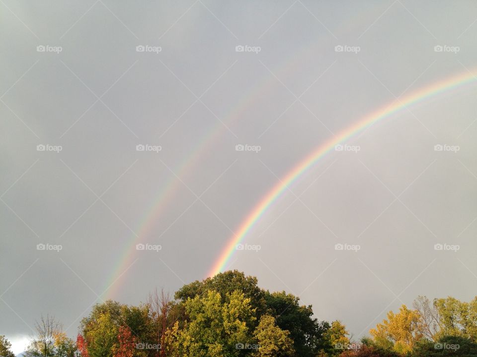 Double rainbow. Doble rainbow over tree tops