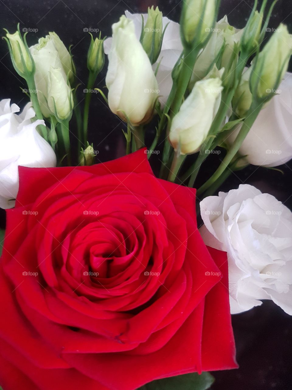 swirling red rose against white lysianthus