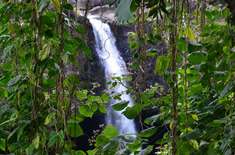 Tropical landscape with waterfall