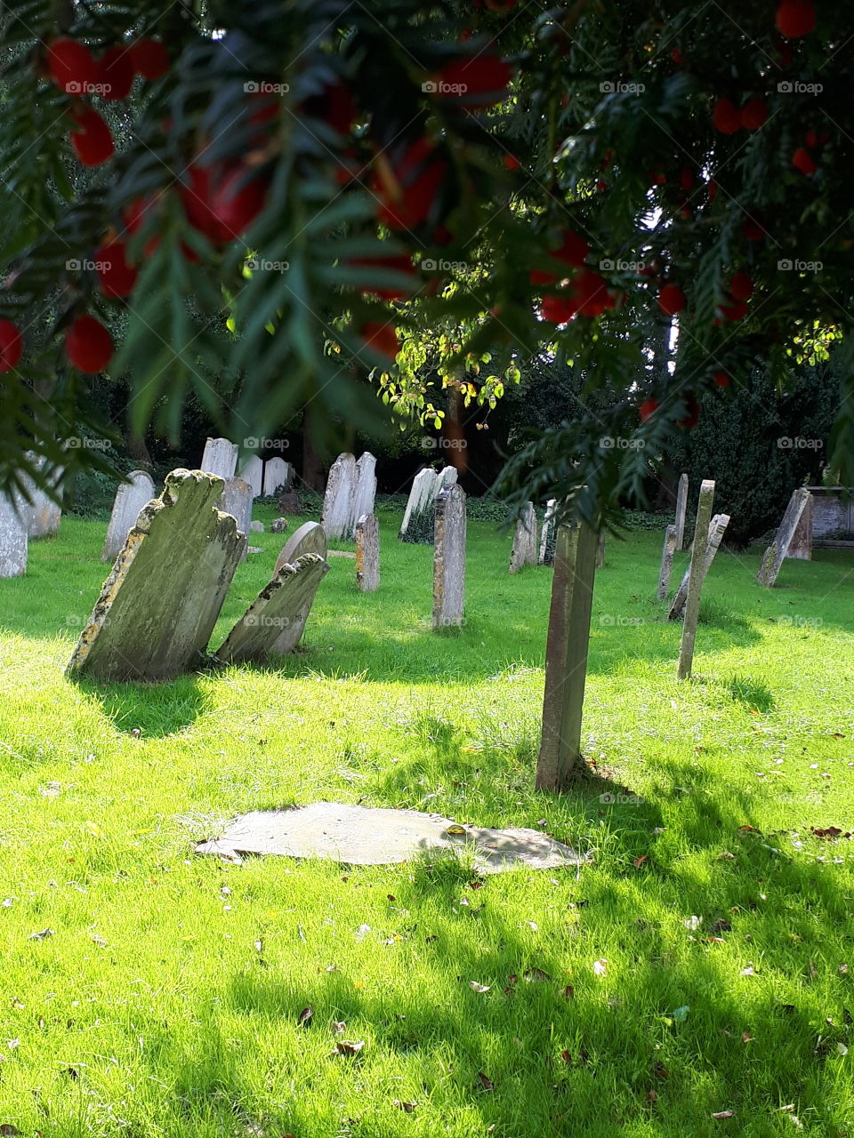 Old Gravestones