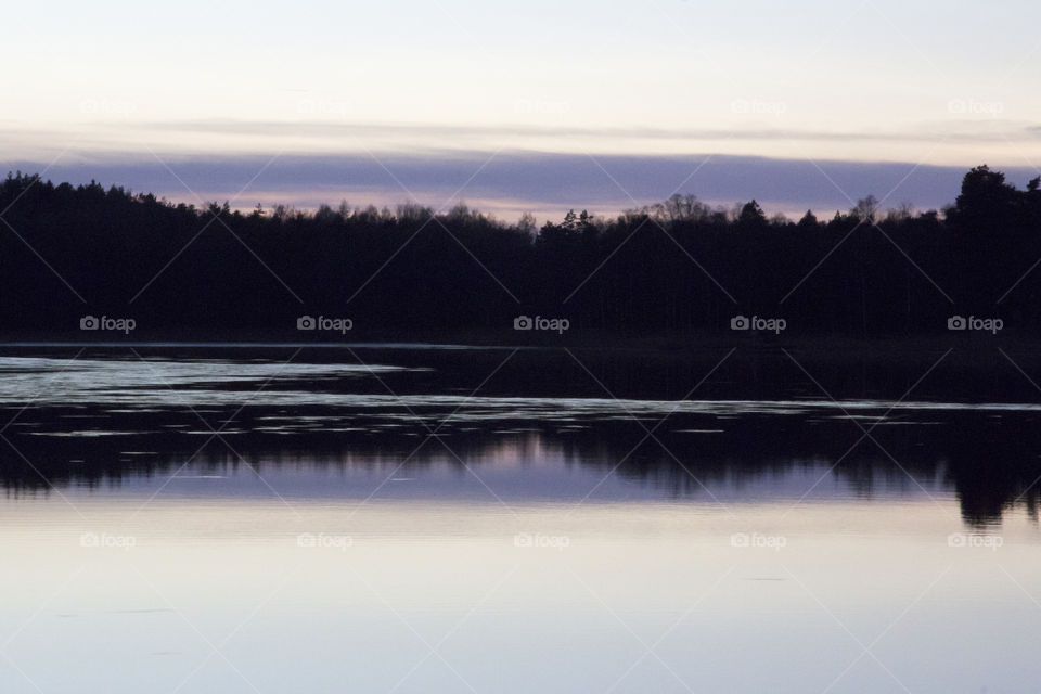 Forest reflections in the lake - sunset 