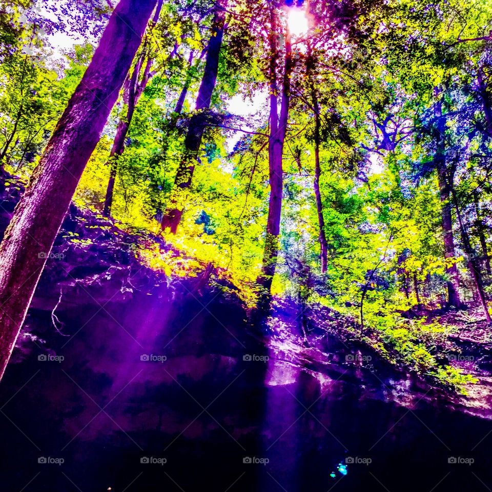 Walking in the woods