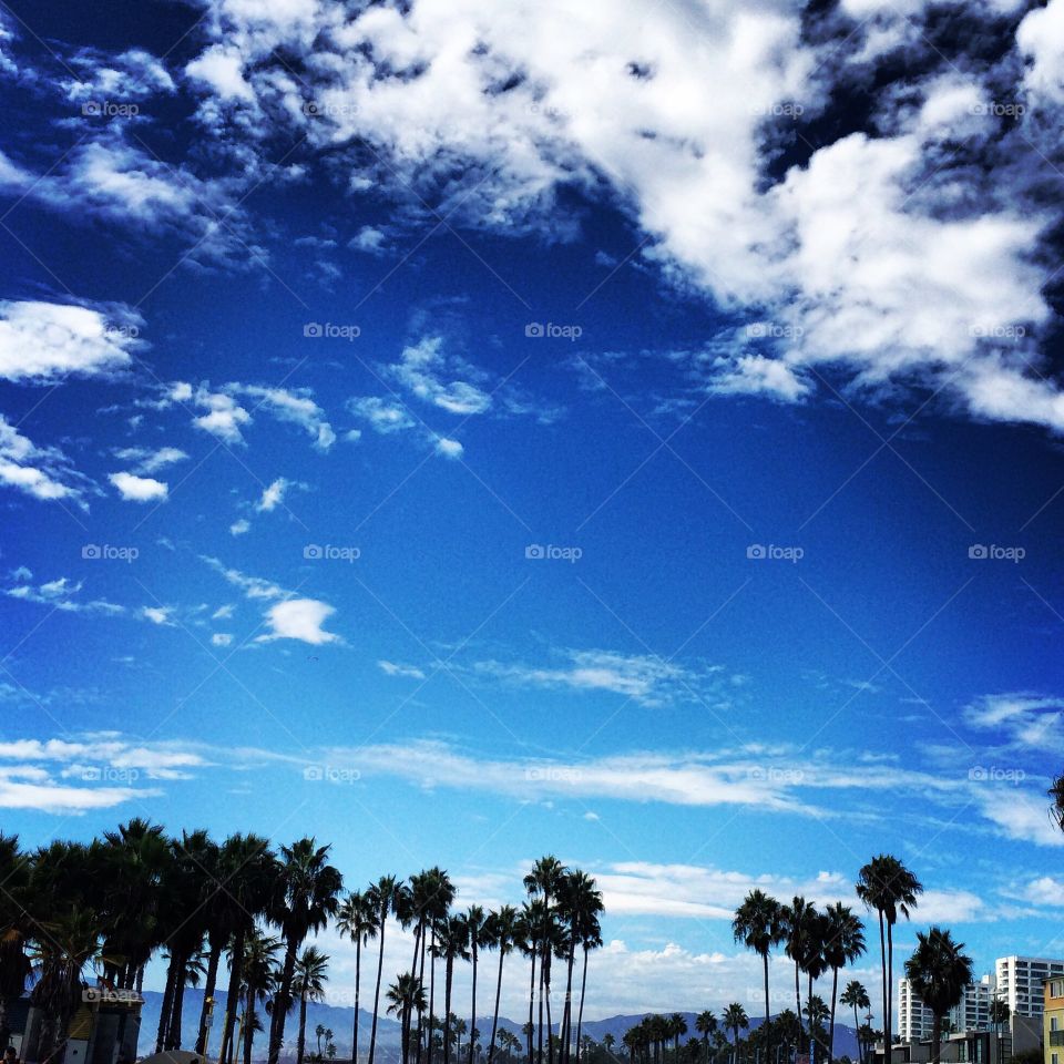 Sky. Blue Sky in LA