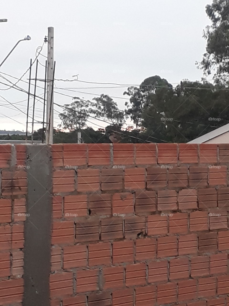 começando Mais um dia aqui em Cafelândia, Paraná, Brasil