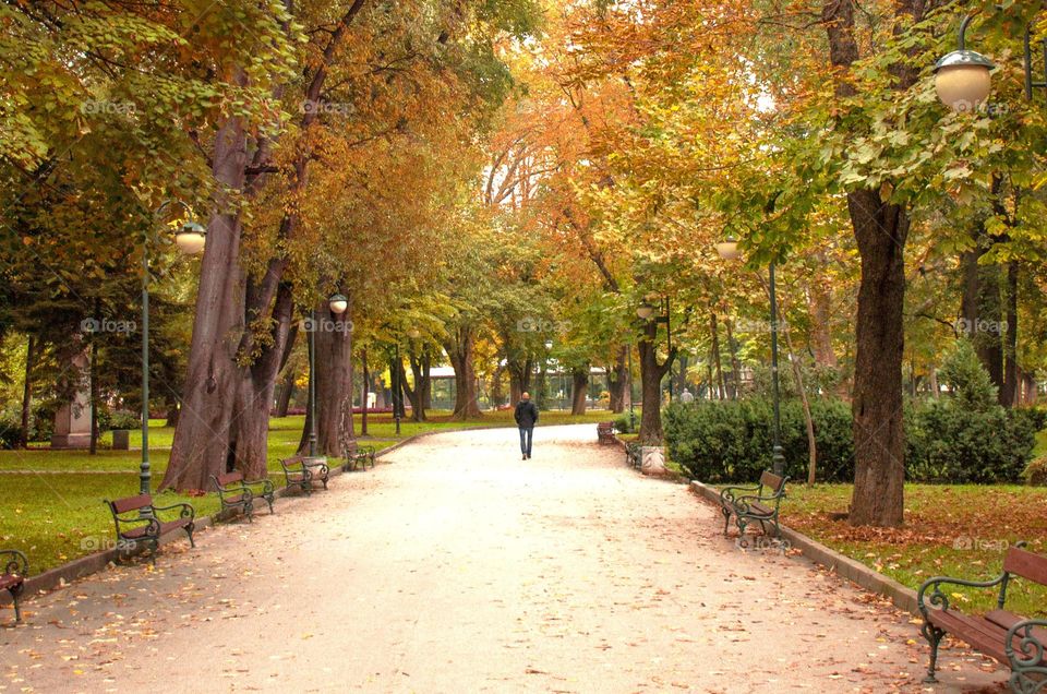 Autumn in the City Park