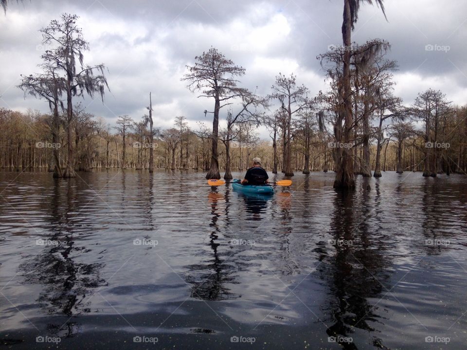A paddler among the Cypress Trees