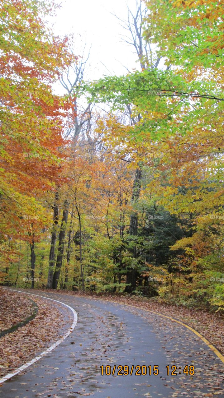 Northern Michigan 