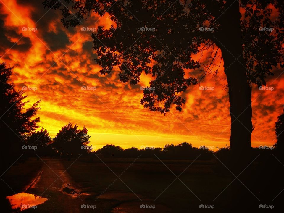 A beautiful fall sunset with storm clouds trees after a rain with a puddle on a country road with orange and yellow colored sky