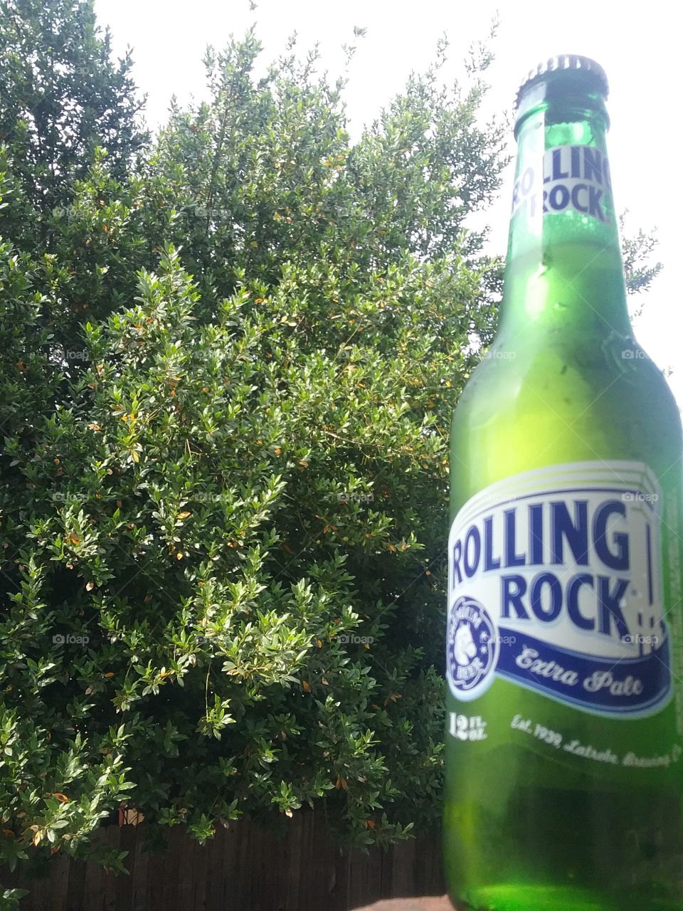 rolling rock beer north ca