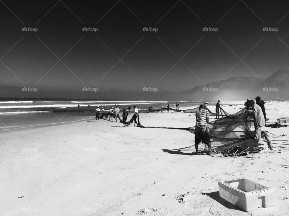 Fishermen pulling in net