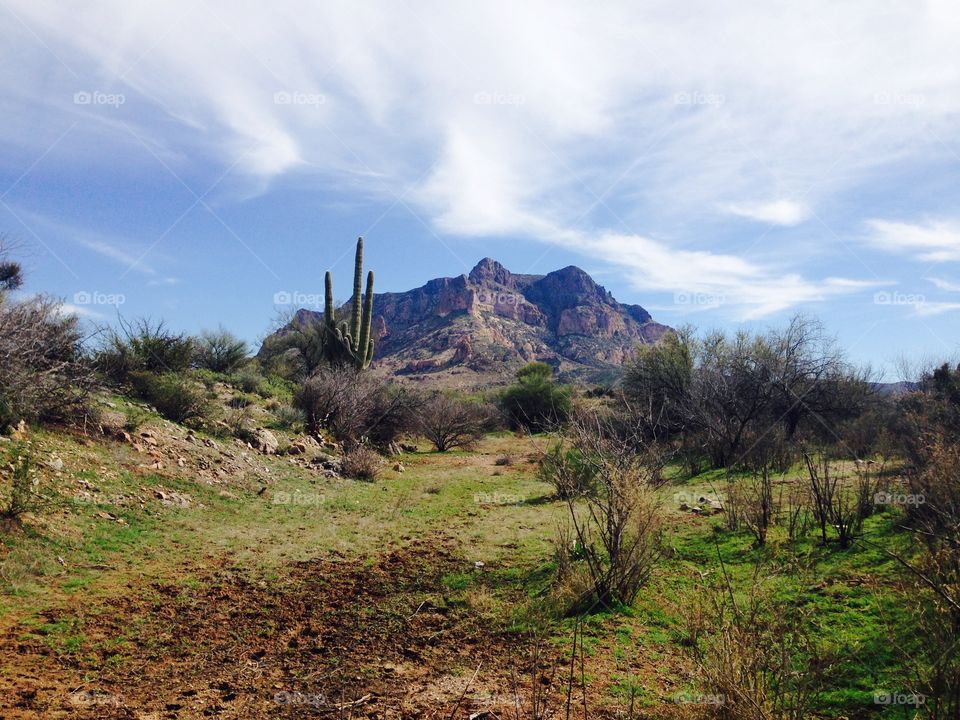 The Arizona Trail near Picketpost Mountain 