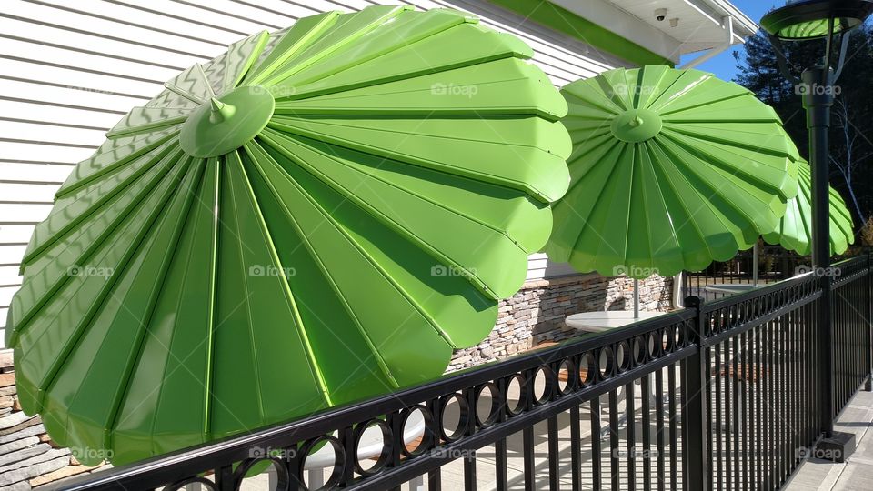 Green Umbrellas