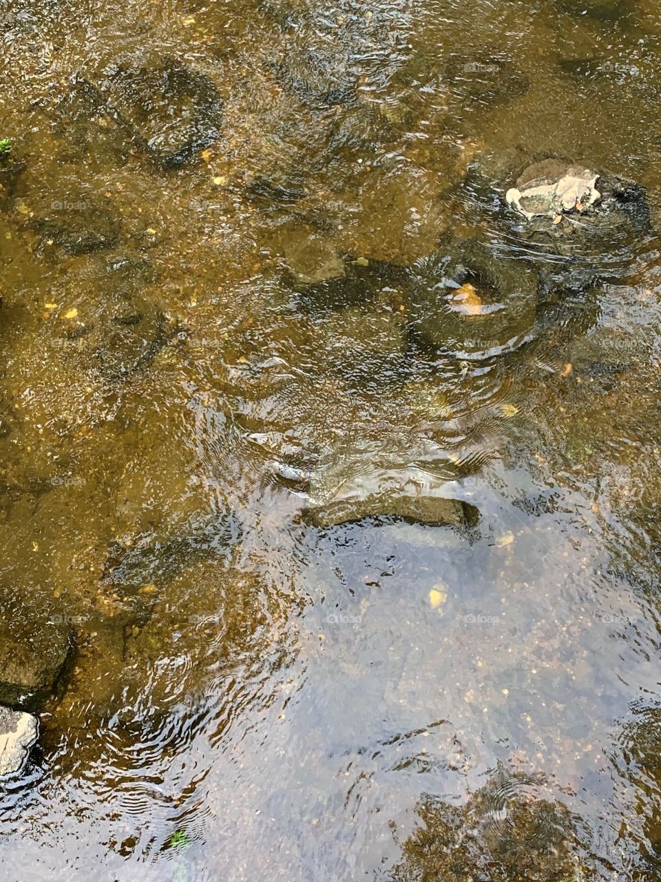 view from above of a shallow stream