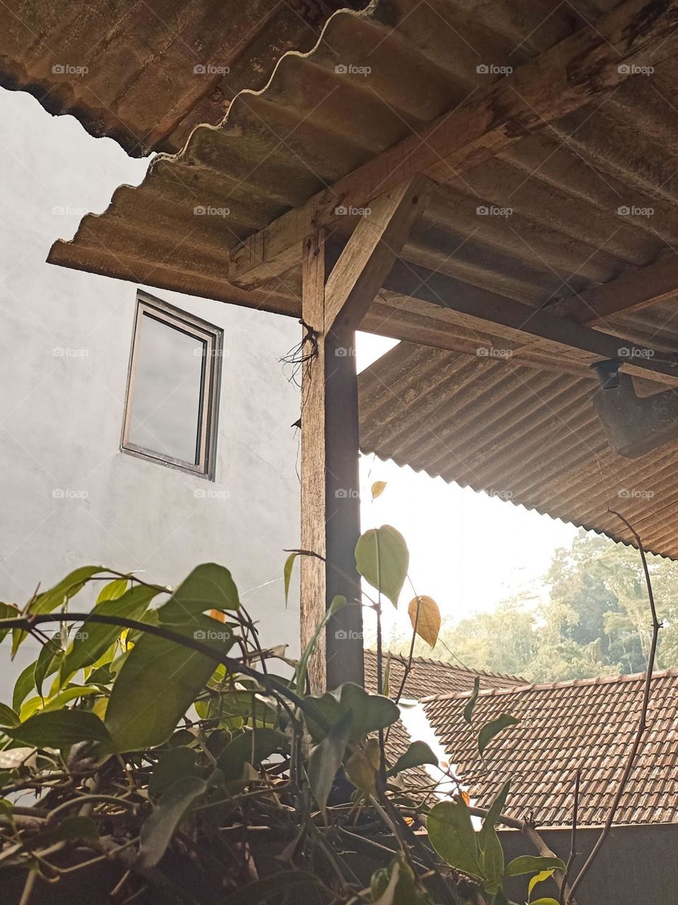 Close-up view of the outside of a building with windows, a roof supported by wooden beams, and plants growing nearby in low angle view