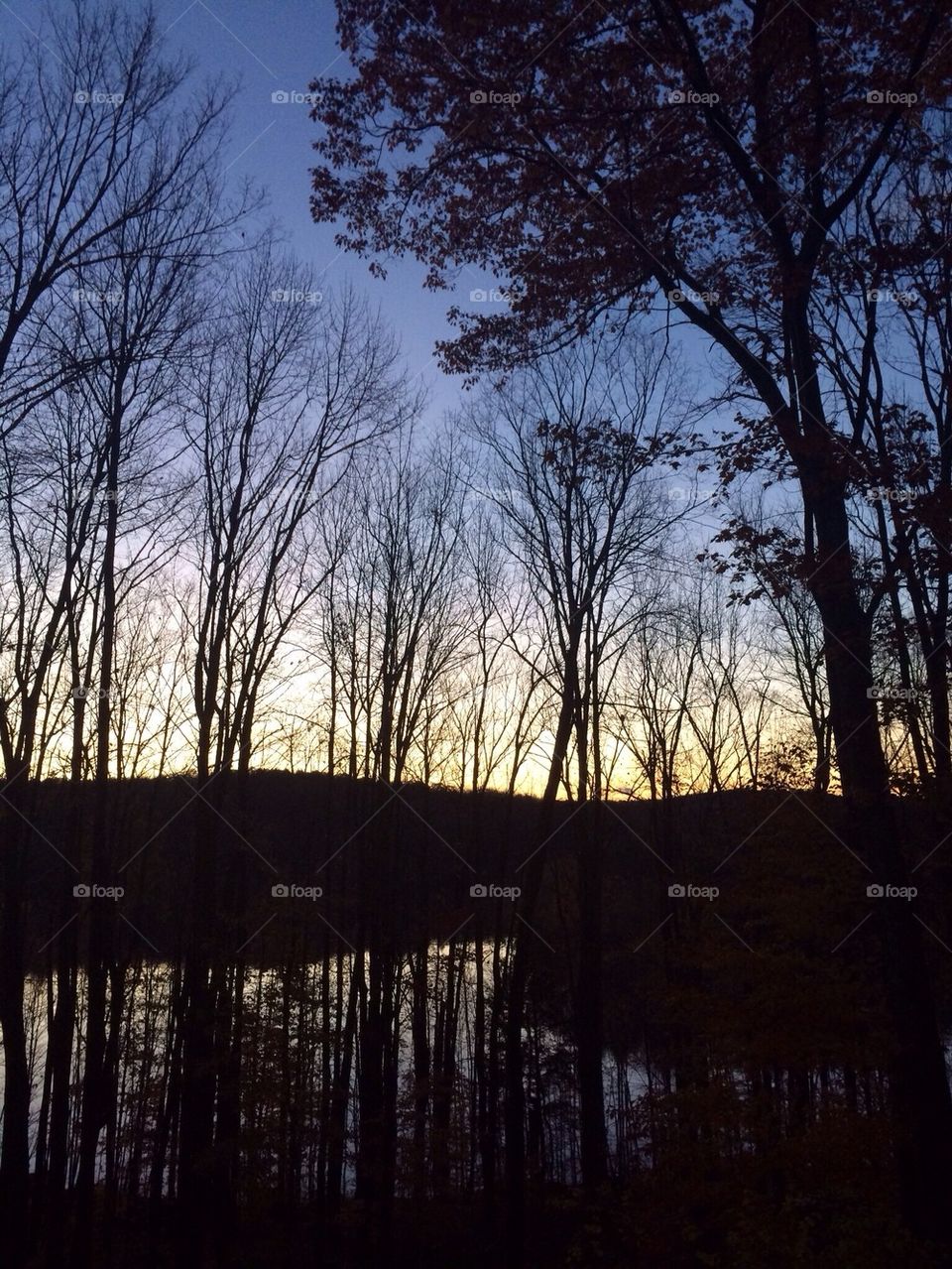 Dawn at Eastman Pond