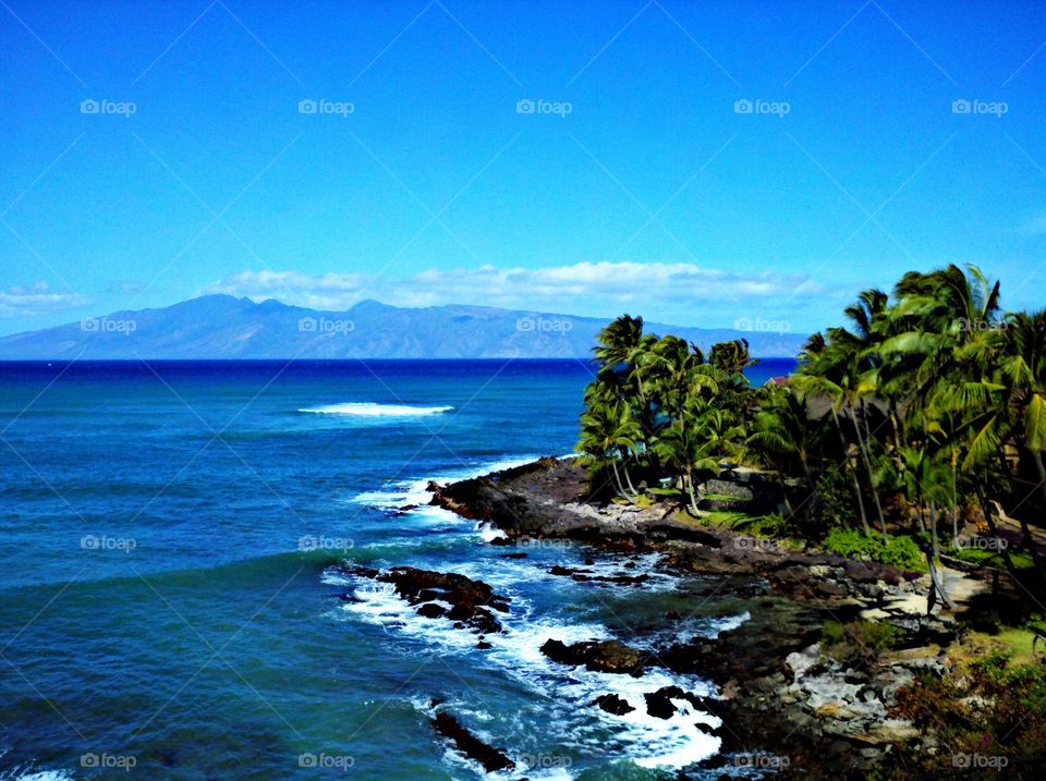 The island. The island