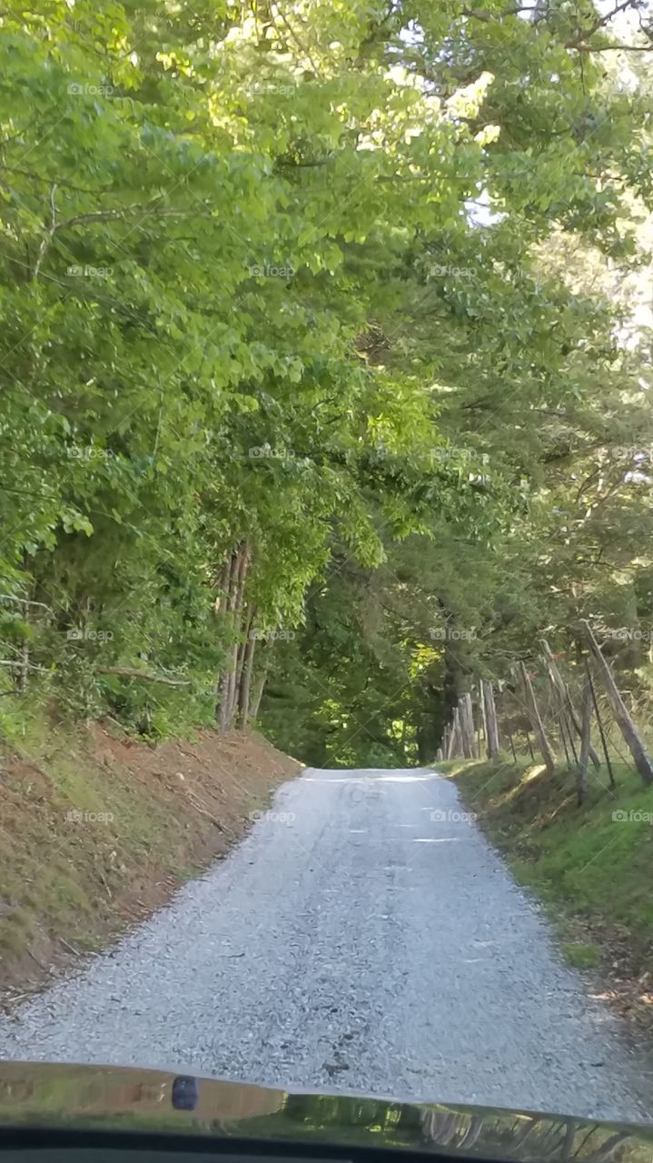 Melanie and Nelson's driveway