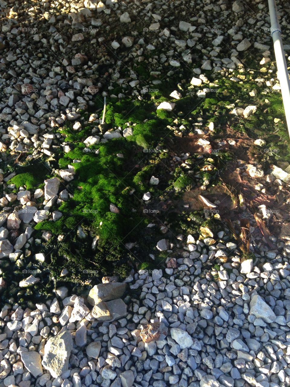 Life around every water 