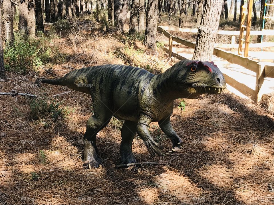 Dino parque Lourinhã 