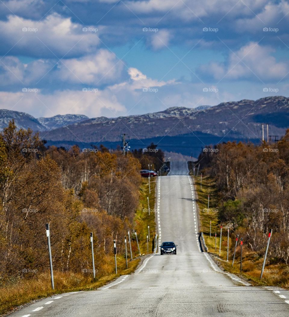 I love the contrasts in the nature . 
The colorful countryside pattern. 
The road in Norway, with the trees around .