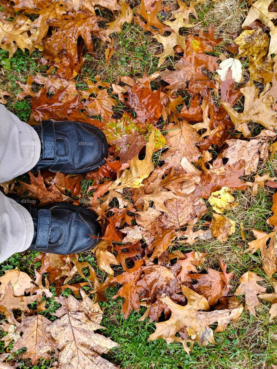 Walking On Autumn Leaves