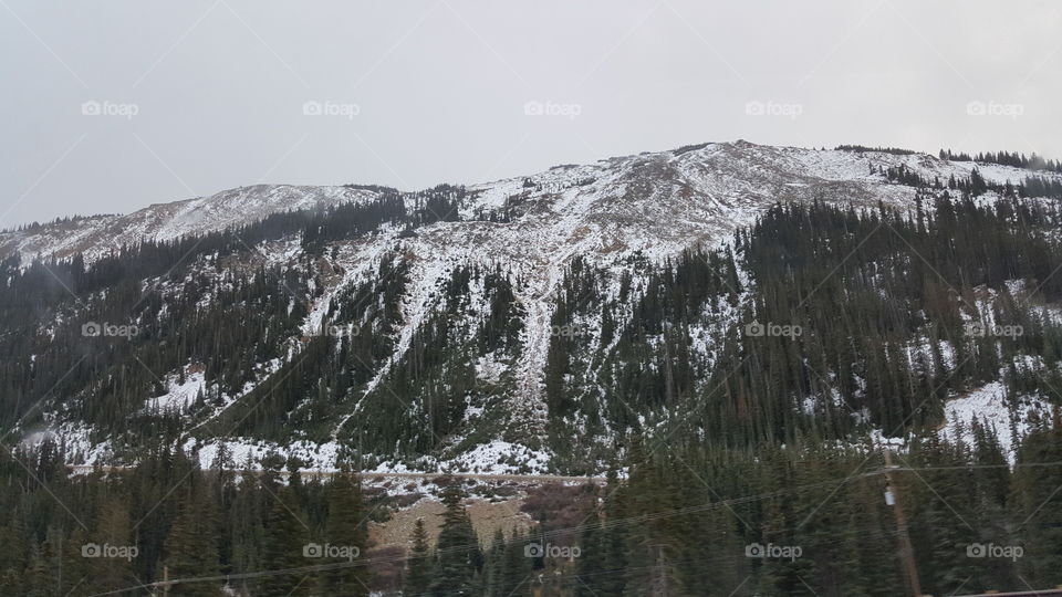 Aspen Snow