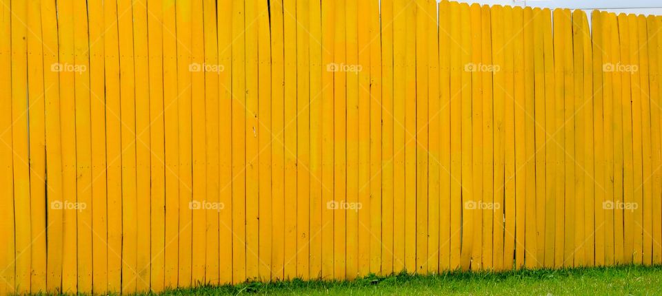 Yellow fence 